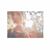 Taylor Utley's profile image