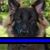 Sean Hawker's profile image