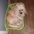 Billy Bagby's profile image