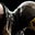 Randy Oscar's profile image