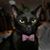 Luis Gonzalez's profile image