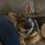 Jennifer Roberts's profile image