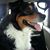 Heather D Nickel's profile image