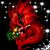 Lisa L Soares's profile image