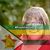 Nancy Mitchell Wheat's profile image