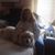 Helen Price's profile image