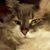 Kristen Morandi's profile image