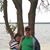 Anita Ritch's profile image