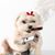 Cathy Ingram's profile image
