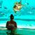 Evie Correa's profile image