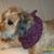 Anne Westcott's profile image