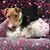 Barbara Snyder-Cole's profile image