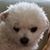Nancy Frank's profile image