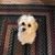 Mary Bacic's profile image