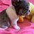 Melissa Binns's profile image