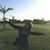 Marcela Martinez's profile image
