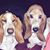 Carrie L Atkinson's profile image
