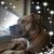 Nena Rodriguez's profile image