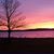 Nettie Lynne King's profile image