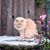 Michele Jourdain's profile image