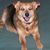Kimberly Craig Turner's profile image