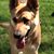 Kim Lamb-Maves's profile image