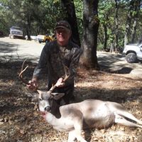 Daniel Kane's profile image