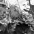 Nicole Pape Grant's profile image