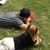 Carrie Jean Ronis's profile image