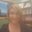 Celeste Contreras's profile image
