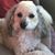 LeAnn Wind Daniels's profile image