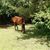 Carol Burnell's profile image