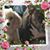 Kelly Williams Matson's profile image