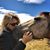 Victory Tischler-Blue's profile image