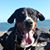 Bruce Detore's profile image