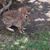Marion Tiger's profile image