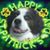 Jeanne Hill Washburn's profile image