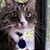 Hiede Boysen's profile image