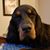 Calleen LaDuc's profile image