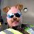 Michael Bailey's profile image