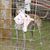 Marcia Martie Hoffman McMurtry's profile image