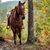 Jodi Sizemore's profile image