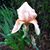 Elisabeth Barnhardt Mills's profile image