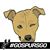 Eddie Gee's profile image