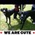 Lisa Lizotte's profile image