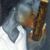 Sunta Phillips's profile image