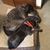 Charlee Biacco's profile image
