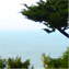 Susan Villotti's profile image