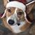 Katie Fogarty Jones's profile image