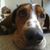 Mark Schlaeger's profile image